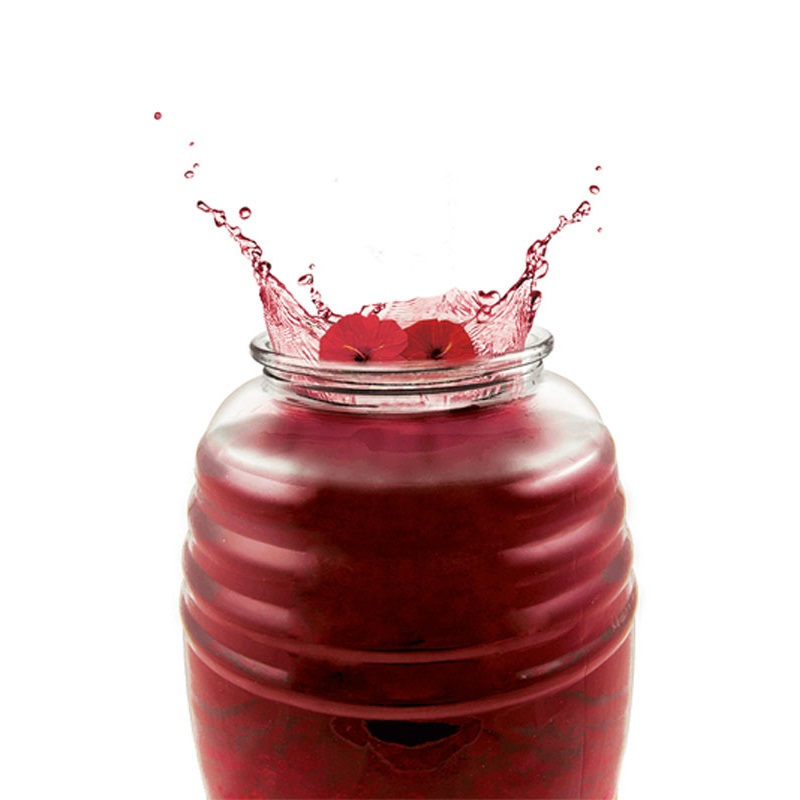 Vitrolero De Vidrio 5 Litros Con Tapa Vnct