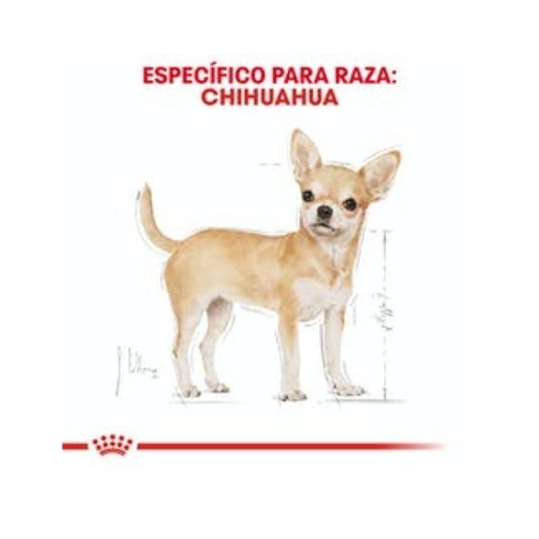 ROYAL CANIN CHIHUAHUA ADULTO LATA 85 GR - ALIMENTO HÚMEDO PARA CHIHUAHUA ADULTO