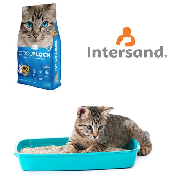 Arena Para Gato Super Absorbente Libre De Polvo Sin Olor 6kg Arena Para Gato Super Absorbente Libre De Polvo Sin Olor 6kg