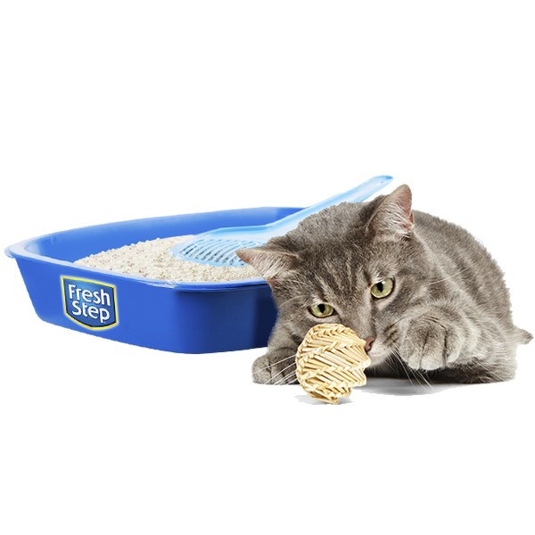 Arena Para Gato Fresh Step Super Absorbente 6.35kg