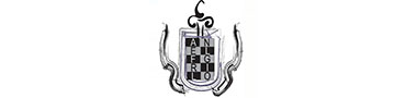 ALFIL NEGRO SEGUROS