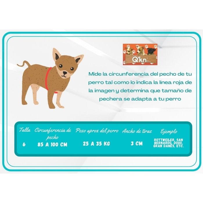 Pechera de piel para perro grande