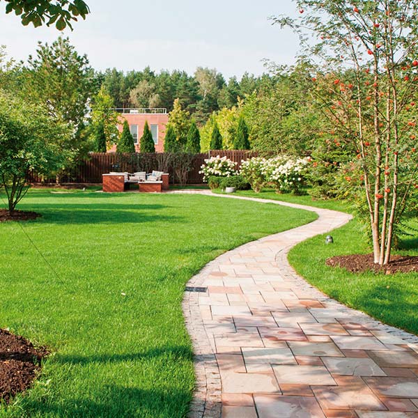 Desbrozadora recta Evans para uso doméstico con motor a gasolina 2 tiempos