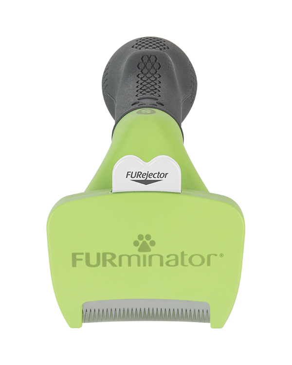 Cepillo Para Perro Furminator Raza Pequeña Pelo Corto