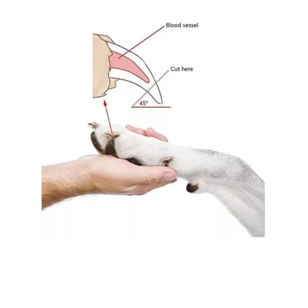 CortaUñas Para Perro Con Lima Kit Cortauñas Cortador Chico 