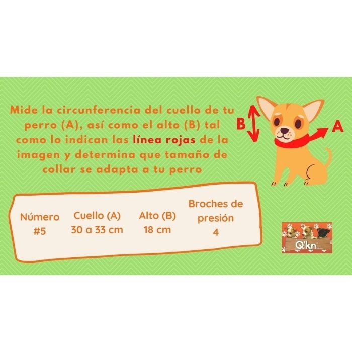 Collar Isabelino Q´kn #5 para Perro