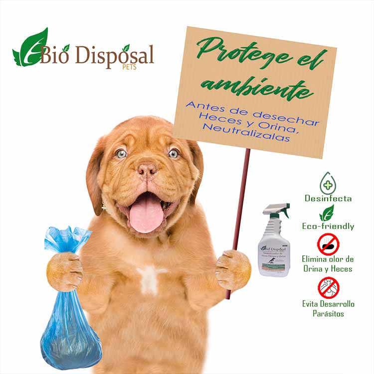 Eliminador Olor Orina y Heces de Mascotas/Neutralizador de heces firmes y orina 4LT