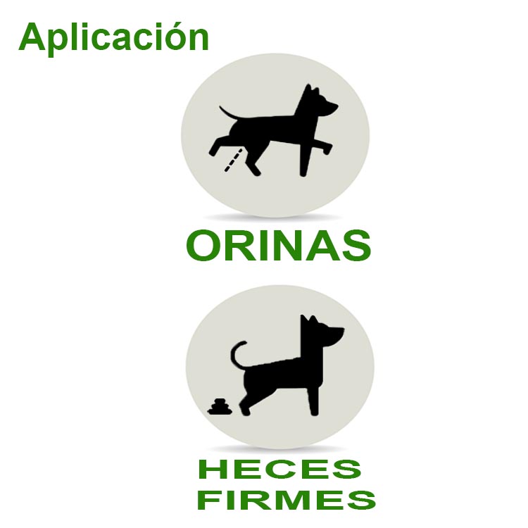 Eliminador Orina de mascotas y desinfectante Bio Disposal Neutralizador de Orina 4LTS + 1 LTS