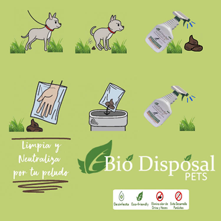 Eliminador Orina de mascotas y desinfectante Bio Disposal Neutralizador de Orina 4LTS + 1 LTS