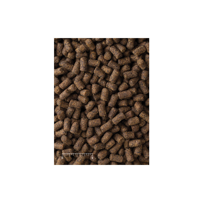 Mazuri Ferret Diet Alimento Para Huron 1 Kg