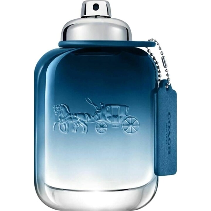 Perfume Hombre Coach Blue 100 Ml Edt Original Importado