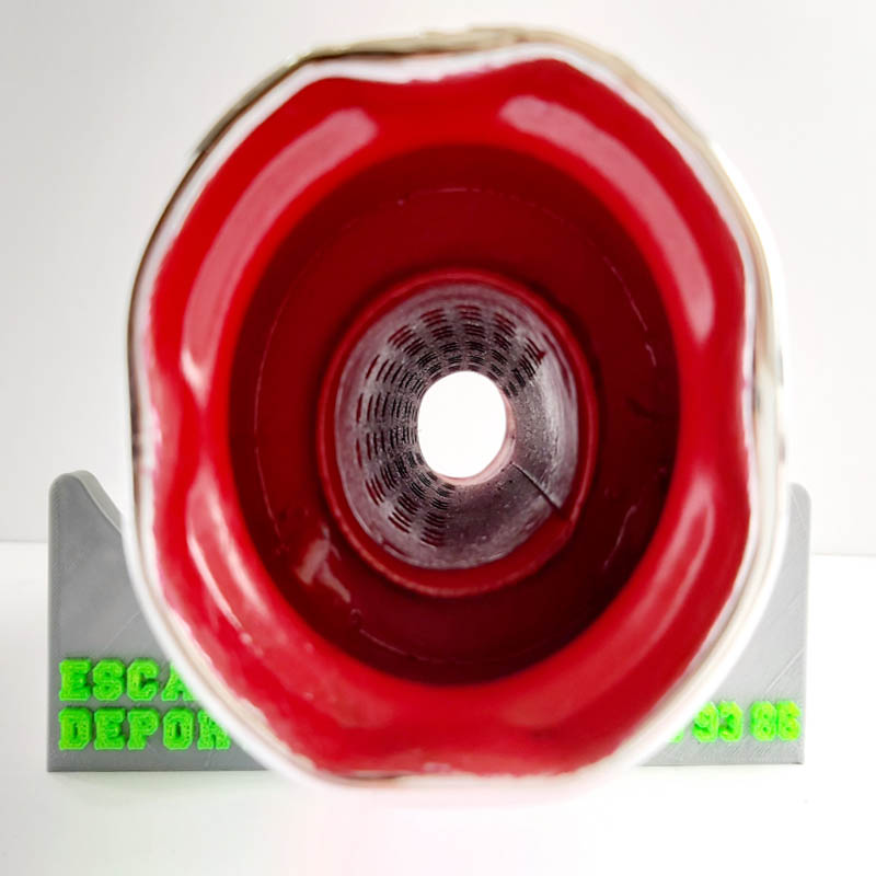 Escape Deportivo Marca Galgo Punta Flor + Regalo