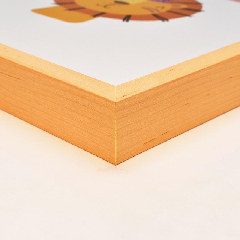 Hermoso Cuadro De Animalitos 20x24 Pulgadas