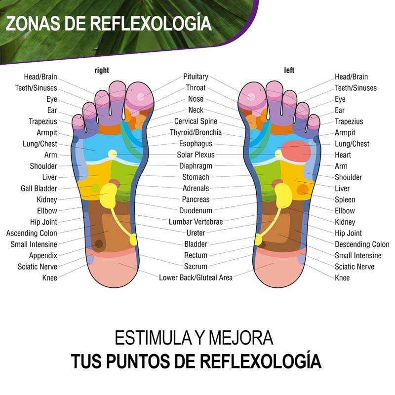 QVENE 60 PARCHES DETOX PARA ELIMINAR LAS TOXINAS 100% NATURALES 