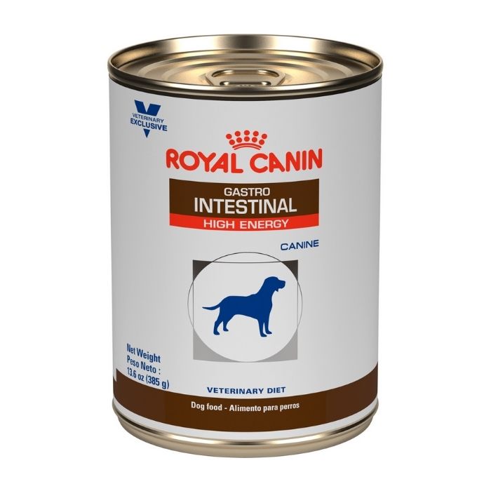 Gastrointestinal High Energy Dog Húmedo Royal Canin