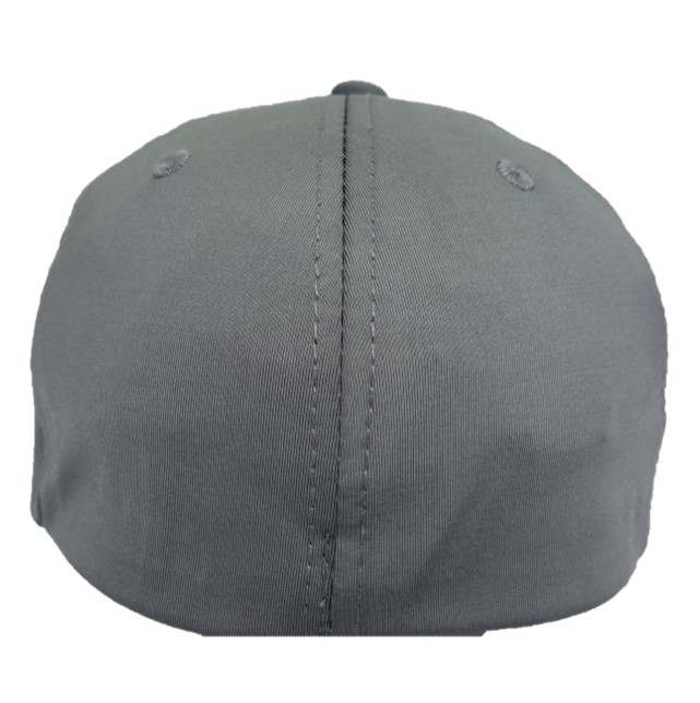 Gorras Visera Curva Lisa Génesis Xflex Delta en Gris
