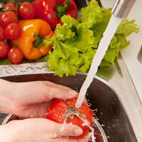 Bomba doméstica Evans 1 1/2 HP ahorradora energía