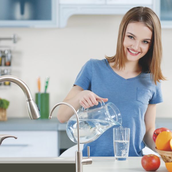 Purificador Evans Ósmosis Inversa 6 Etapas C/ Tanque Y Bomba