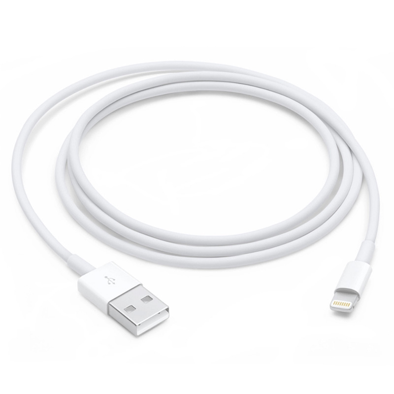 Cable Lightning a Usb Para iPhone 5 6 7 X Apple Original 1 M