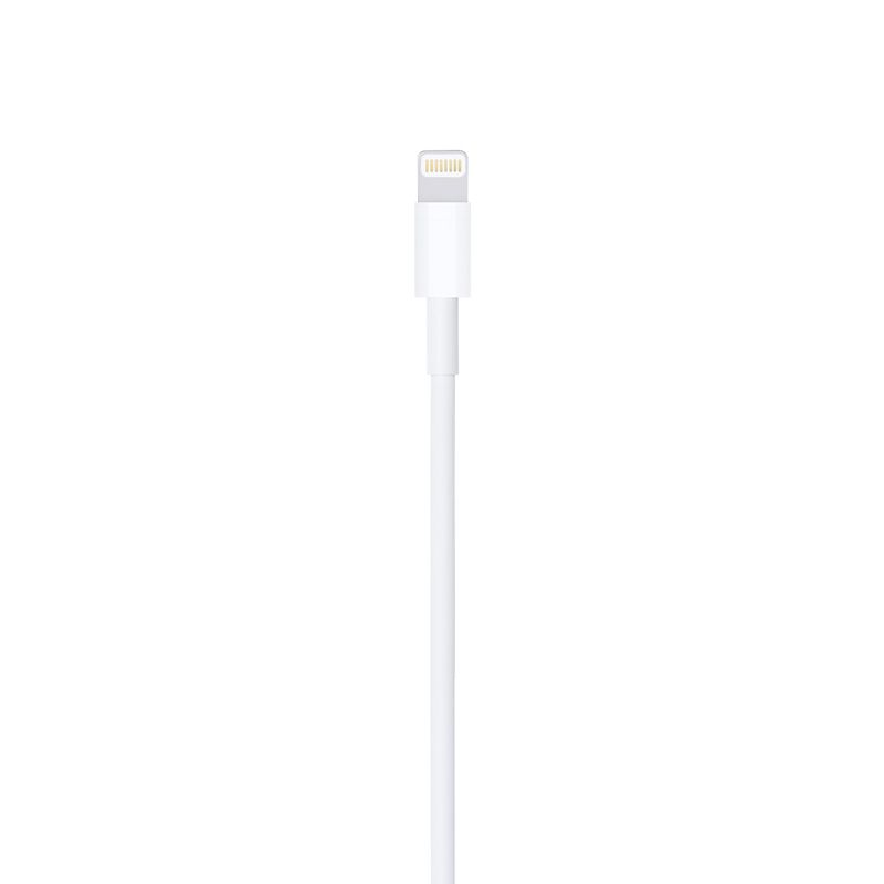 Cable de Lightning a USB 0.5m Para iPhone 5 6 7 X Apple Original