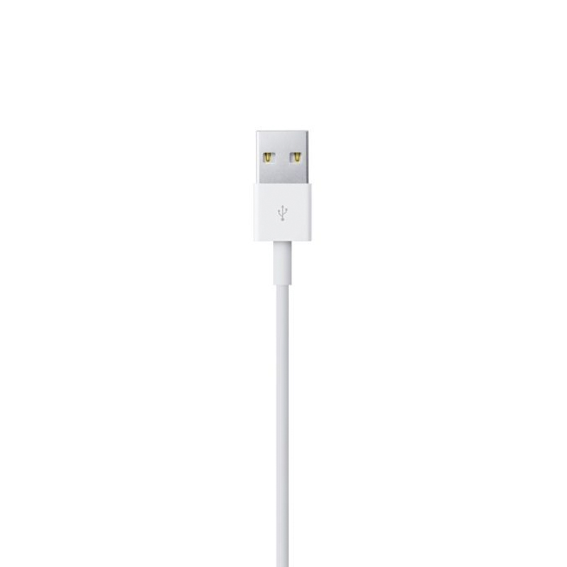 Cable de Lightning a USB 0.5m Para iPhone 5 6 7 X Apple Original