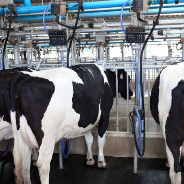 Bomba sumergible Evans para pozo profundo 4" 1 HP 16GPM 110V