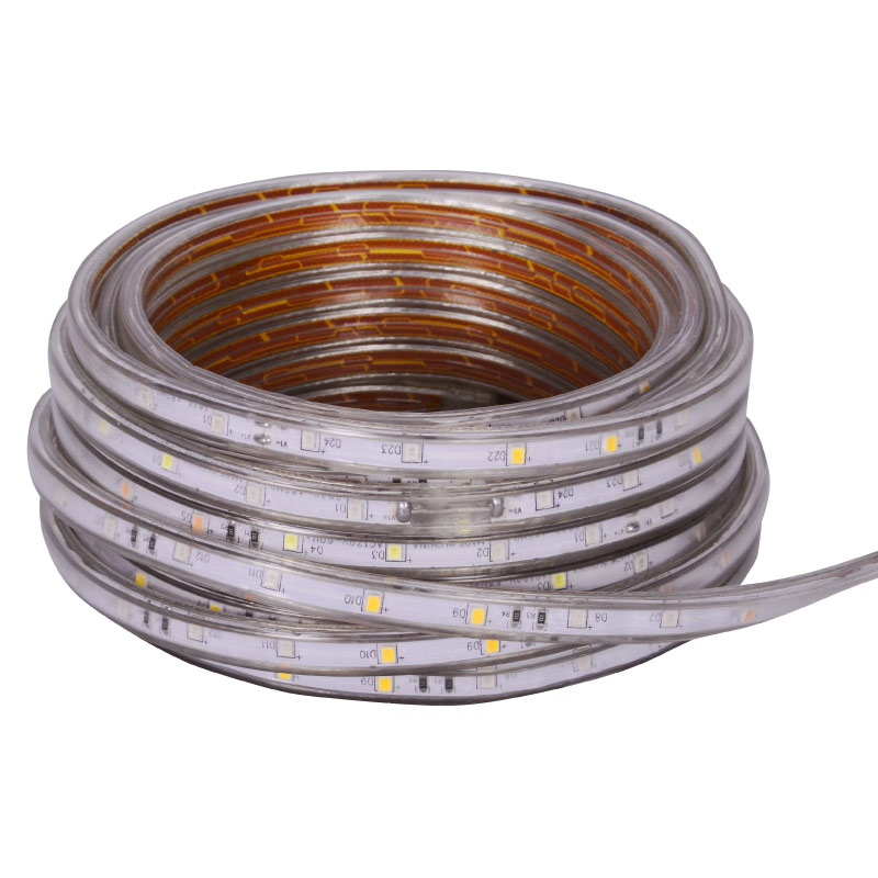 MANGUERA PLANA LUZ LED DE 10 METROS MULTICOLOR