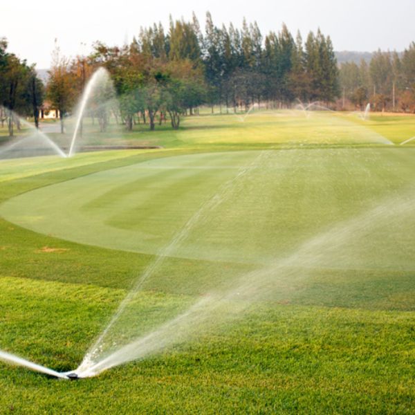 Bomba sumergible Evans para pozo profundo 4" 2HP 25GPM 220V