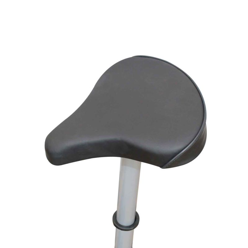 Bicicleta Fija Para Ejercicio Dynamic Bw-dy8018