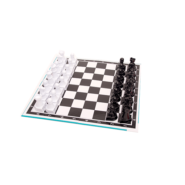 Maestro Ajedrez para Niños Novelty