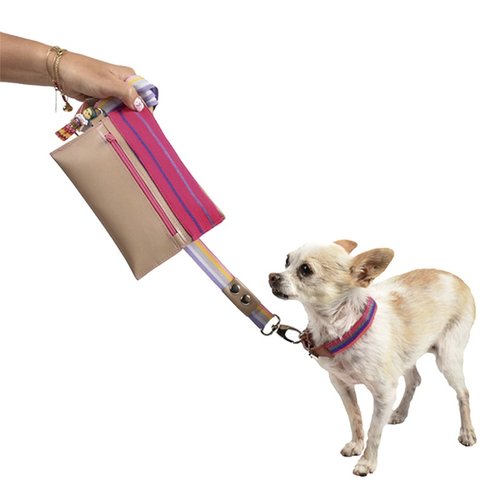 Kit de paseo Rosa bolsa cartera, con correa y collar para mascotas mas cartera
