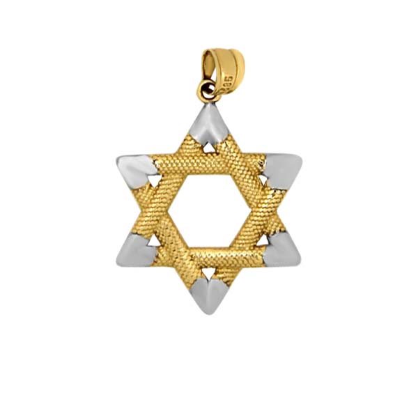 Dije Estrella de David en Dos Oros con Textura en Oro Amarillo de 14 K + Obsequio