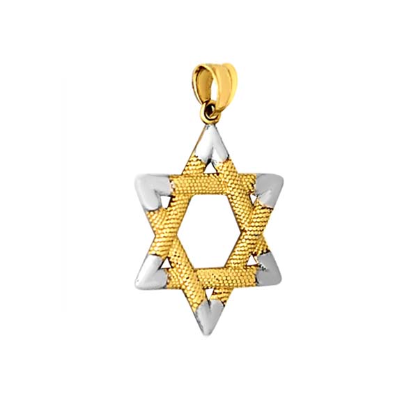 Dije Estrella de David en Dos Oros con Textura en Oro Amarillo de 14 K + Obsequio
