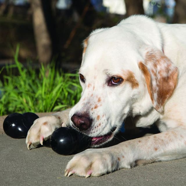 Juguete Para Perro Kong Extreme Hueso Grande Rellenable