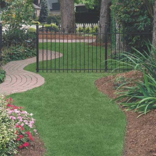 Podadora Evans con Bolsa Motor Briggs & Stratton® 20" Corte 5.5 Lb.Pie