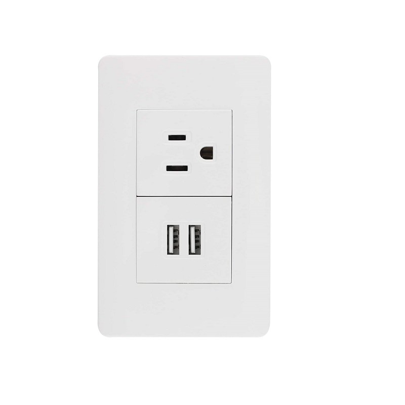 Sanelec 4466 Contacto 2 Entradas Usb, Aterrizado Con Placa