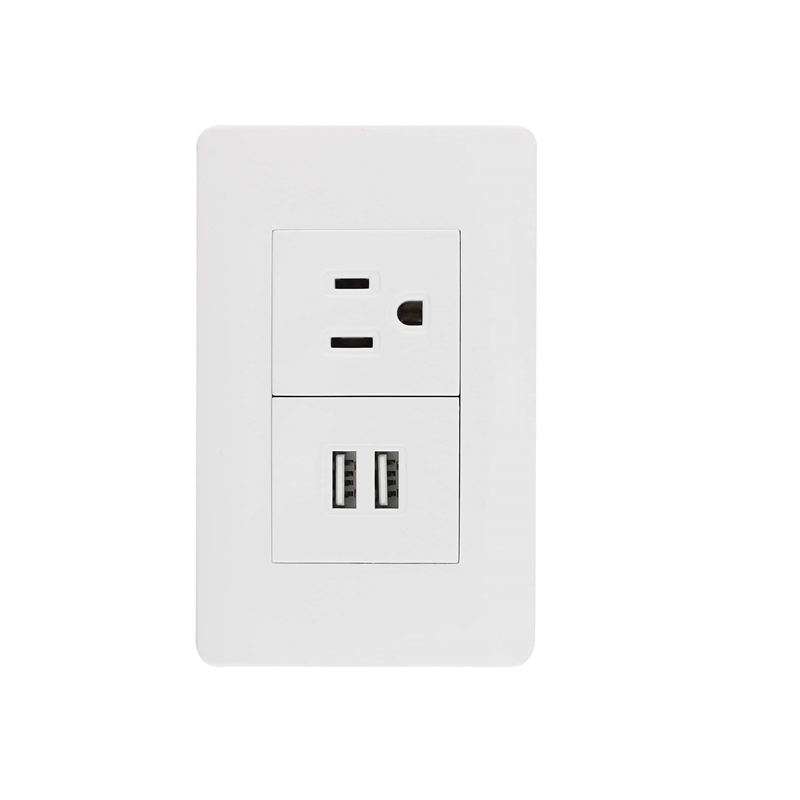 Sanelec 4466 Contacto 2 Entradas Usb, Aterrizado Con Placa