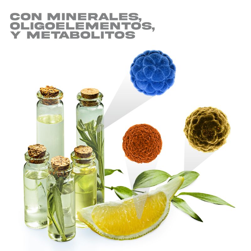 Gotavid - Gotas a Base de Fitocomplejo Cítrico y Minerales