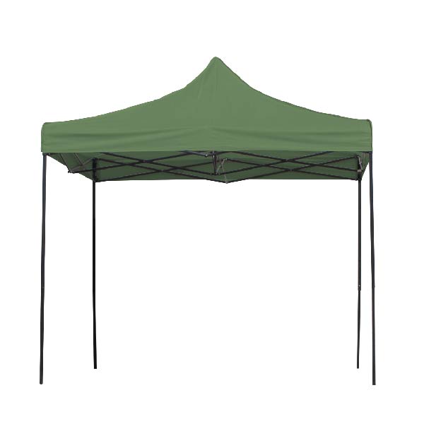 Carpa Toldo 3x3 Reforzado Plegable Impermeable