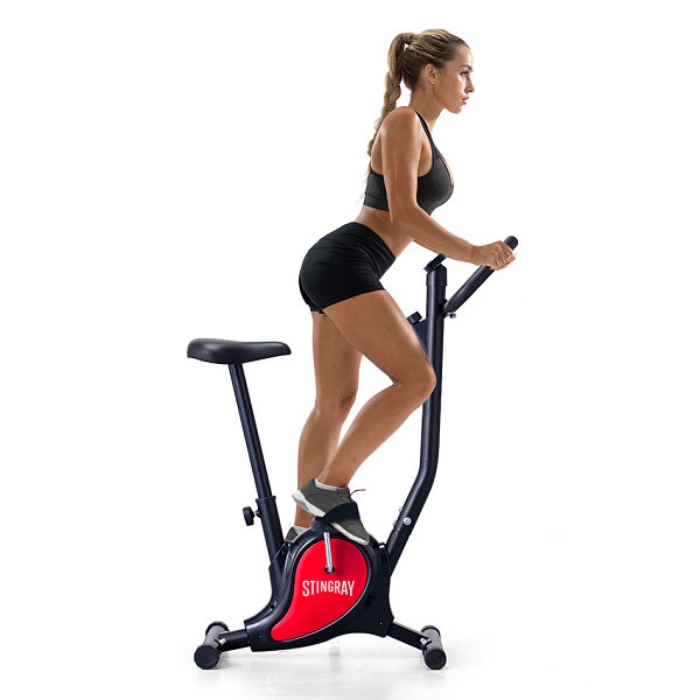 Aparato Ejercicio Bicicleta Fija Fitness Sfmanbk-2 Stingray
