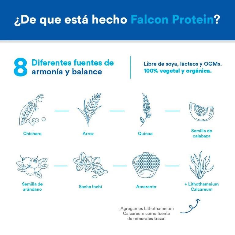 VAINILLA Proteína Vegetal Orgánica Falcon Protein 1.170kg Birdman
