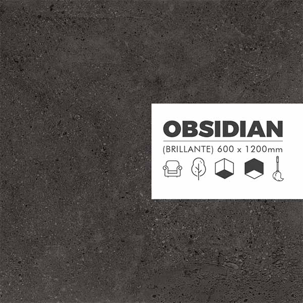 Piso Porcelanato Ozlich Obsidian  60x120