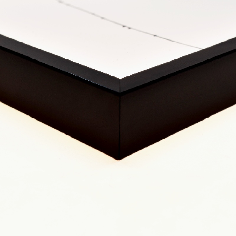 Elegante  Cuadro De Flor 11x14 pulgadas