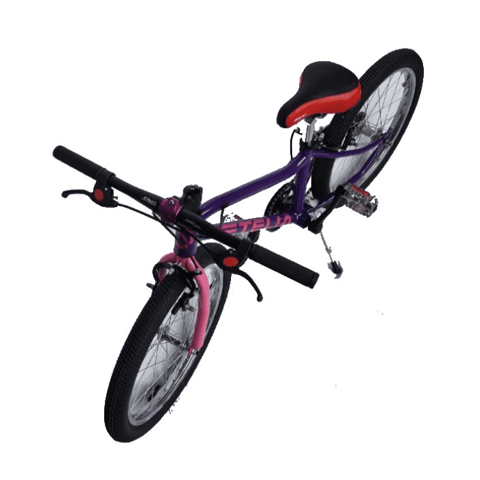 Bicicleta para niño rodada 20 Vetelia Intrepid