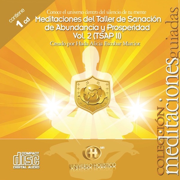 CD MEDITACIONES DEL TALLER DE SANACION DE ABUNDANCIA Y PROSPERIDAD VOL. 2 (TSAP II)