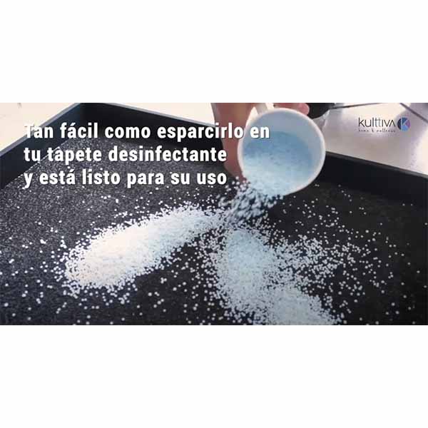 Desinfectante Sólido Granular Para Calzado Stepquat 700 Gramos