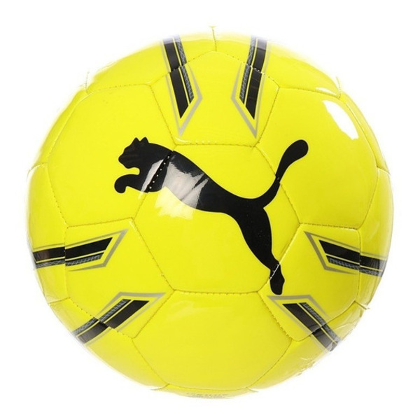 Balon Puma Pro Training 2 MS Ball