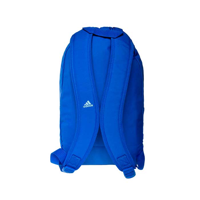 Mochilas Adidas Unisex Legend Earth Classic Bp CG0517