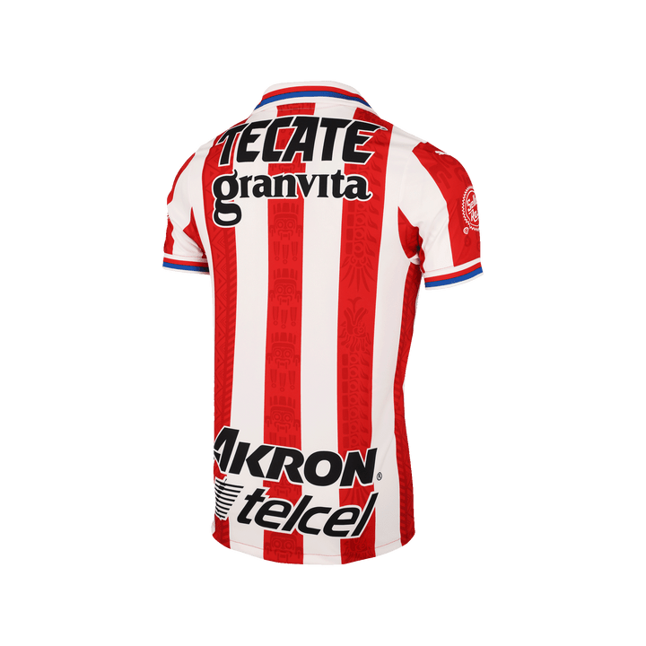 Jersey Club Guadalajara Chivas 2020-2021 Puma Original