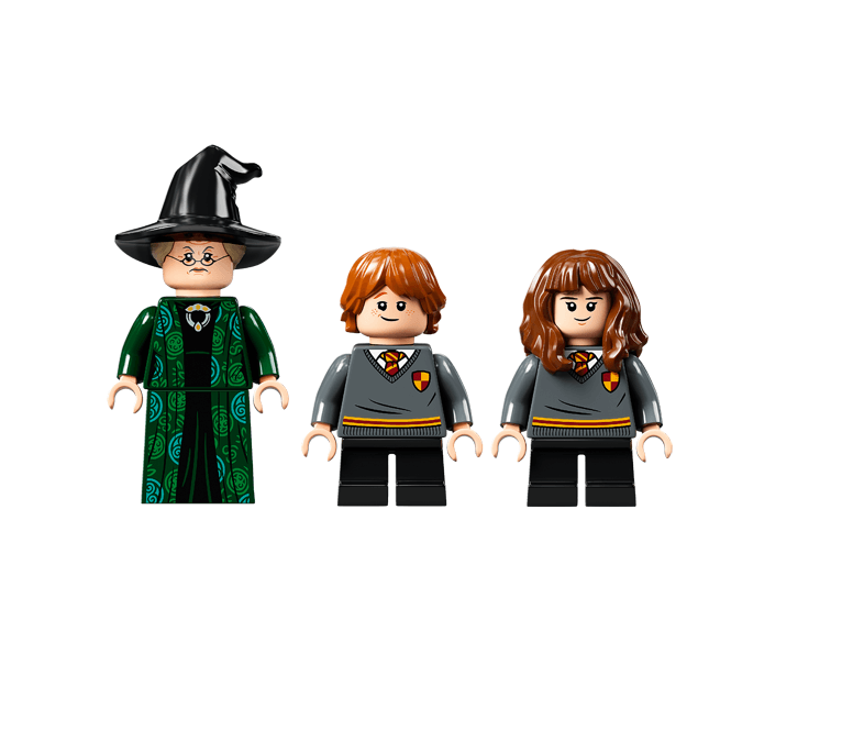 Lego 76382 Momento Hogwarts Clase de Transfiguración